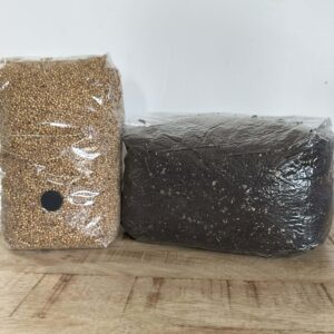 millet and cvg grow kit